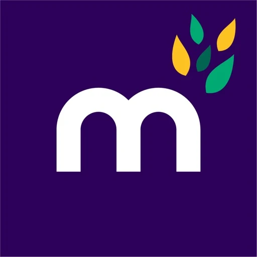 icon of Mint Énergie