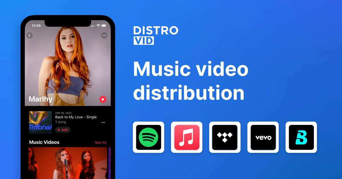 image for DistroVid